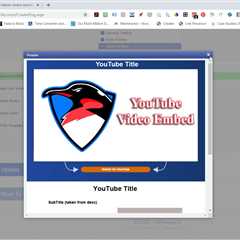 Full Demo of VidPenguin 2 - The Professional Video Ranking Tool