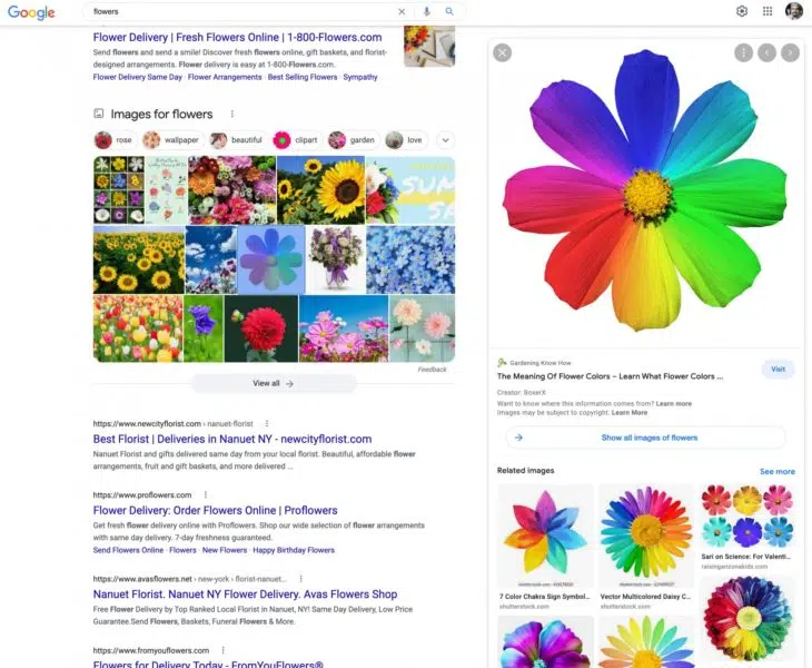 Google launches new image preview interface in web search