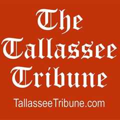 tallasseetribune.com