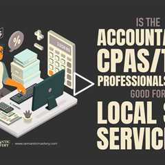 Is The Accountants/CPAs/Tax Professionals Niche Good For Local SEO Services?
