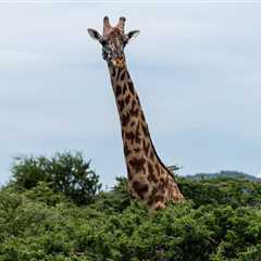 When Can Skinny Pages Help Your Local SEO?